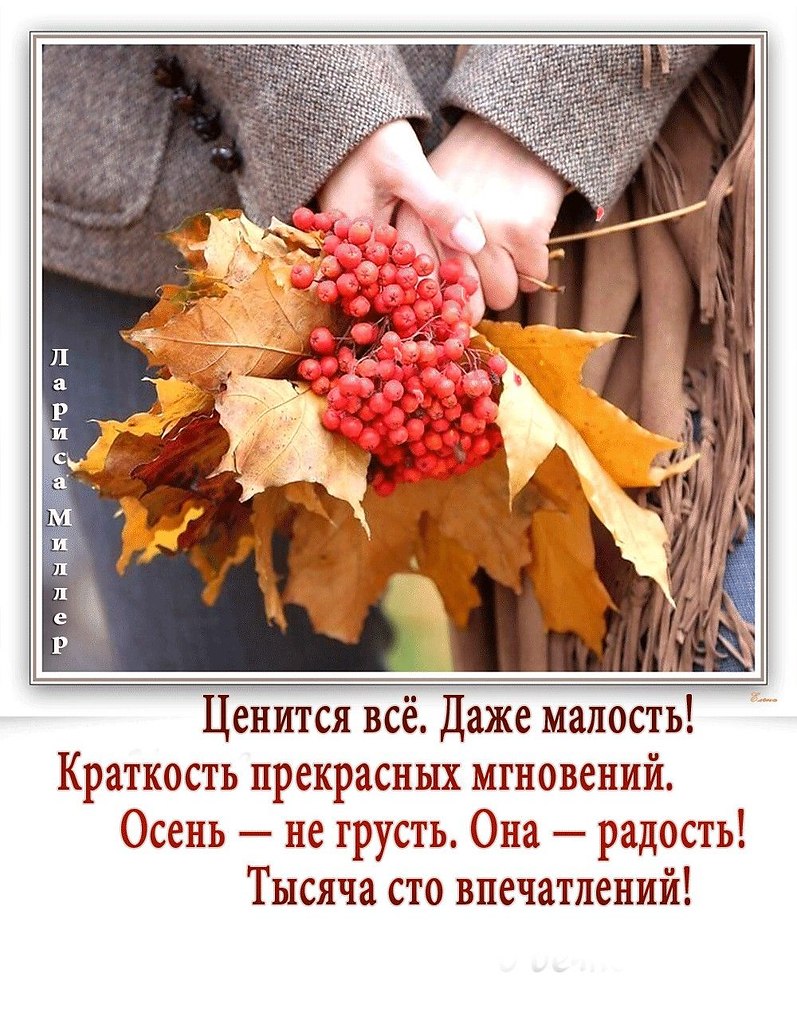   - 20  2025  11:00