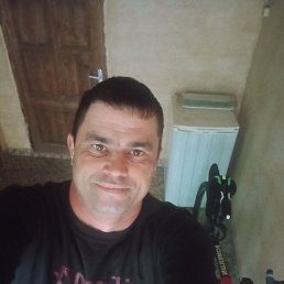 , 40, 