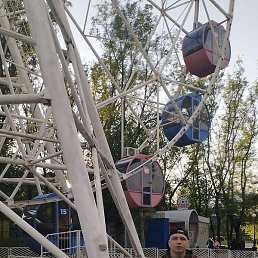 �����, ������, 38 ���