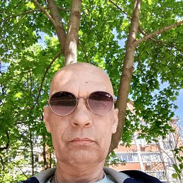 ..., 53 , --