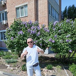 , 54, 