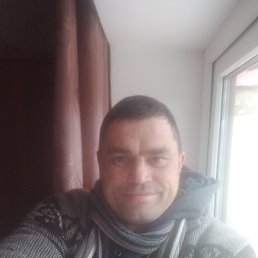 ���������, 41 ���, �����