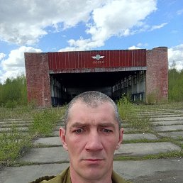 , 41, 