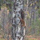 ���� �����, ������ - ��������� 21 ������ 2025 � ������ ���� ����������