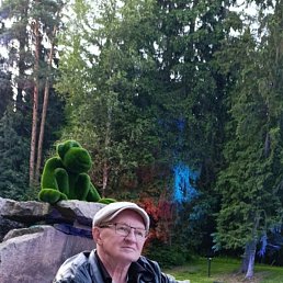 �����, �����-���������, 66 ���