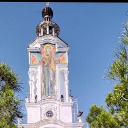 �������, 49 ���, ����