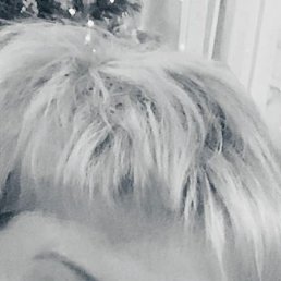 ����, ������������, 50 ���