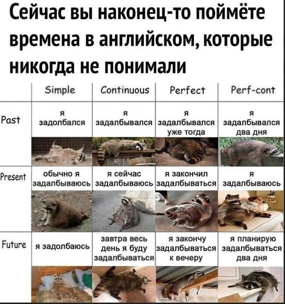   - 7  2024  07:18