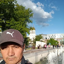 , 44, 