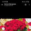 ���� ������, �������, 33 ���� - ��������� 13 ������� 2023