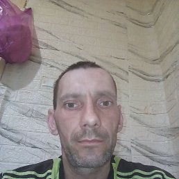 �������, 41 ���, ������