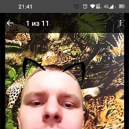 , 29 , 