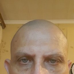 , 41, 