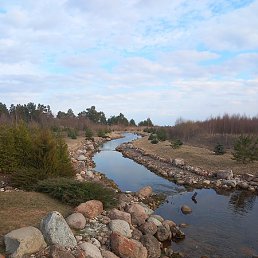 Evgen, �����, 39 ���