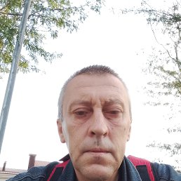 , 46, 