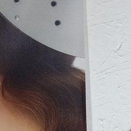 , , 44 