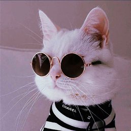 ��, �����-���������, 21 ���