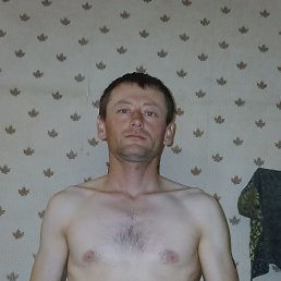 , 29, 
