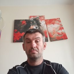 ˸, 45 , 