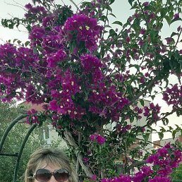 , 53, -