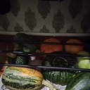 ���� ������ ������, �����, 57 ��� - ��������� 10 �������� 2024 � ������ ���� ����������