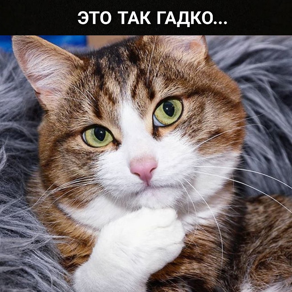 Перепады настроения =»>