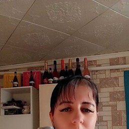 ���� ����, �����������, 40 ��� - ��������� 11 ����� 2026