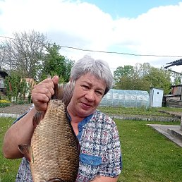 , 55, 