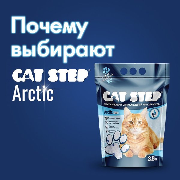     CAT STEP Arctic?   : vk.cc/crn0Ui