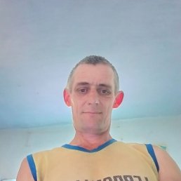 ���� ����, ���������, 43 ���� - ��������� 28 ������� 2026