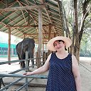 ������� 2024 �� ������� ���� ����������