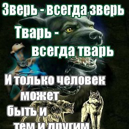 ����, �����, 44 ����