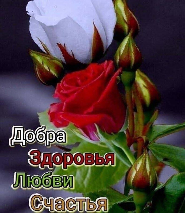������� - 18 ��� 2024 � 20:08