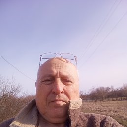 , 63, 