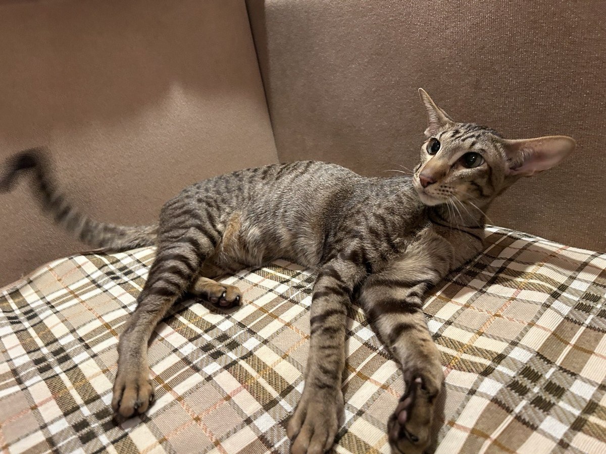 ОБО ВСЕМ - 30 сентября 2025 в 10:28