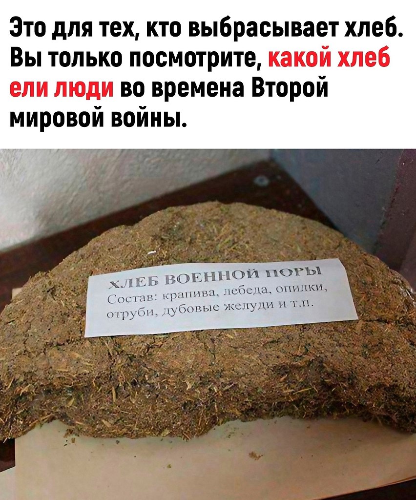 ���� ������ �������