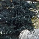 � � ������� �� ������� ���� ����������