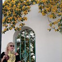 ���� Elena, ������, 55 ��� - ��������� 15 ������ 2026 � ������ ���� ����������