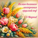 ���� �������, ������, 43 ���� - ��������� 7 ����� 2026 � ������ ������ ��������