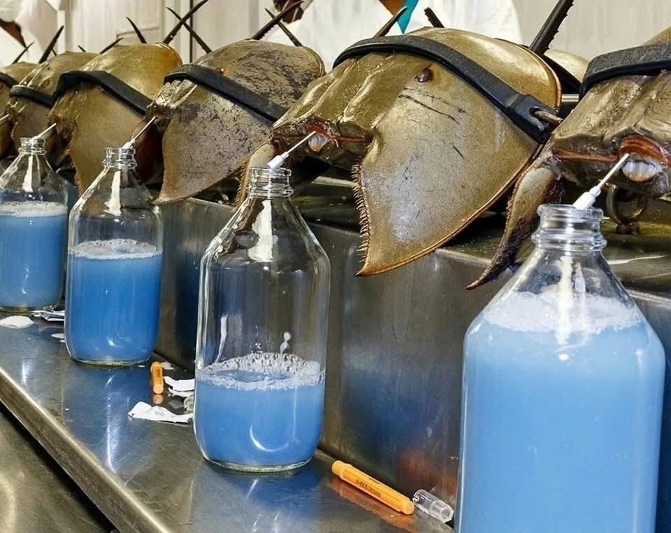     ,        .   ... - 2