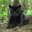 ���� ����, ������, 38 ��� - ��������� 15 ������ 2024 � ������ ���� ����������