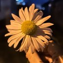 ���� �����, ������ - ��������� 8 ������� 2026