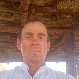 , 41, 