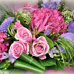 �������, ������, 68 ���