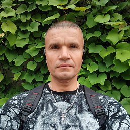 ���� �������, ���������, 43 ���� - ��������� 27 ������� 2026