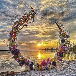 �����, ������, 63 ����