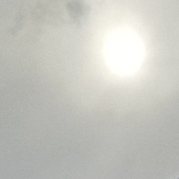 �������, ����, 38 ���