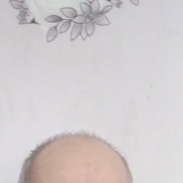 , 48 , 