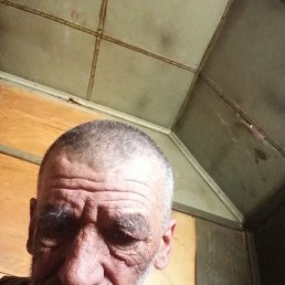 , 62, 