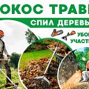 ���� ��������, ������-��-����, 38 ��� - ��������� 18 ������� 2026 � ������ ������ ��������